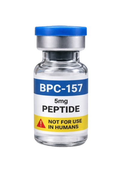 BPC-157 peptide vial — for research use only